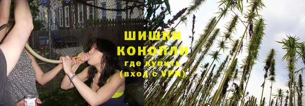 стаф Балахна