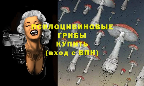 стаф Балахна