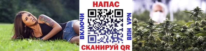Каннабис индика  Купить  Родники 